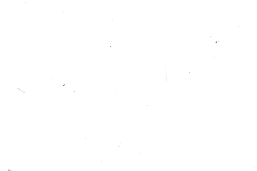Image 30